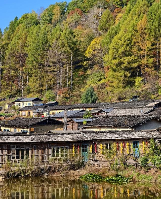 我是北京人，在吉林长白山待几天，憋不住想说说我的感受和疑问。