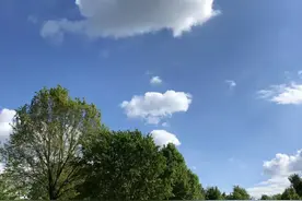 四年级语文下册第18课《文言文二则 铁杵成针》（教学设计）图片