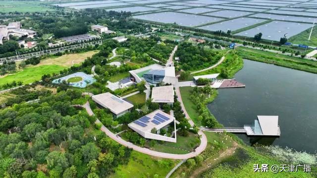 城事 | 天津又一“中央公园”开园！