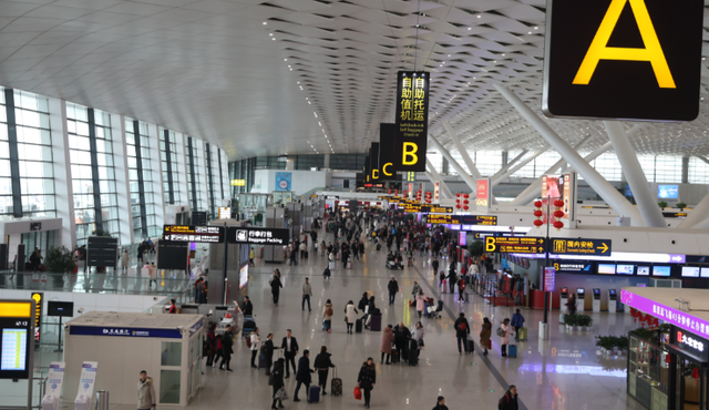 首富夫妻逃亡两年终落网，一人暴力抗法	，一人狂卷9.7亿海外被抓