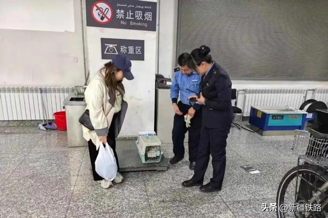 行李太多？铁路托运攻略来了！