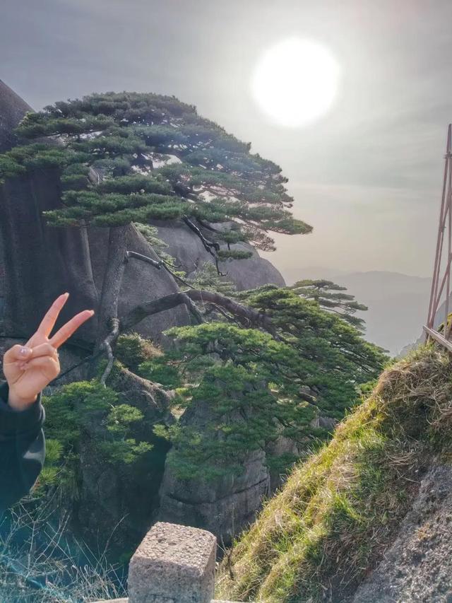 漫步黄山松掩山丛树杪，云隐仙踪徒步蹬道千阶