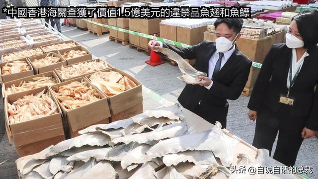 花胶十萬元一斤系什麼胶 2026年一百多一斤的花胶