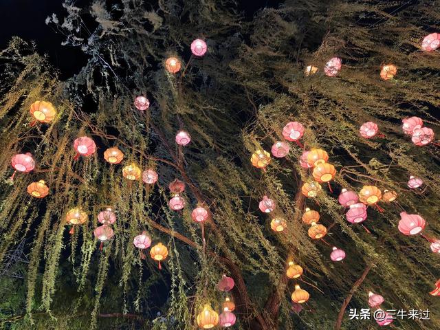 无为在歧路，淄博花灯齐彩城免票