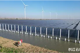 税务一点通｜“三免三减半”，这项税收优惠真给力图片