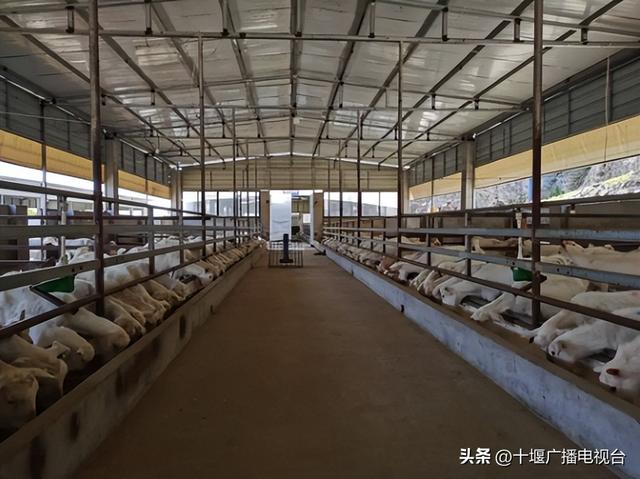 颜值＋实力！十堰这个镇厉害了！