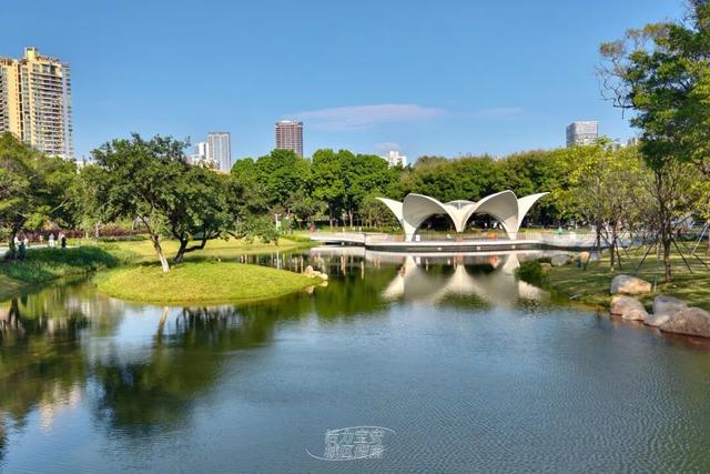 活力宝安城区指南｜山海蓝绿瞬间：山水连城，绿动宝安！