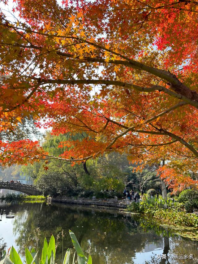 沿着鲁迅的足迹，赏上海秋日美景
