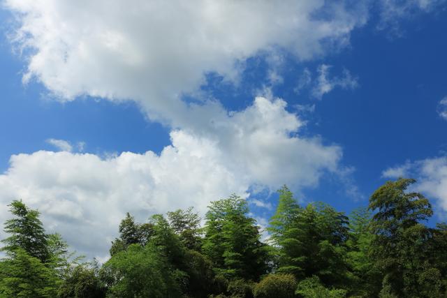 江苏注意！明天到后天8月16～8月20号天气有变！天气预报详情！