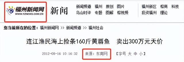 金钱鳘鱼胶图片价格 2026年金钱鳘鱼胶功效作用