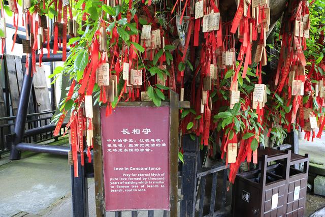 人间烟火气，最抚凡人心之平乐古镇（原创）