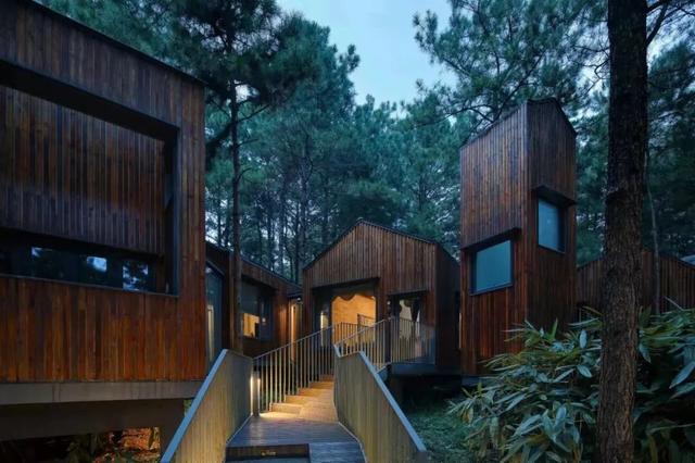 “你怎么知道王嘉尔来我家门口啦？”