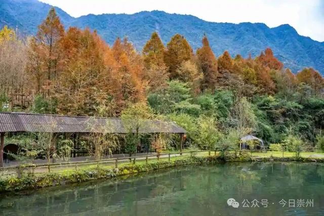 漫山彩林，琉璃坝的色彩美学