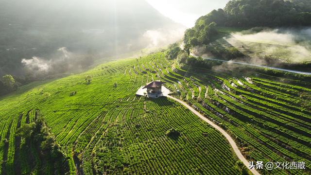 连续5年！西藏墨脱再获“中国最美县域”！凭啥？