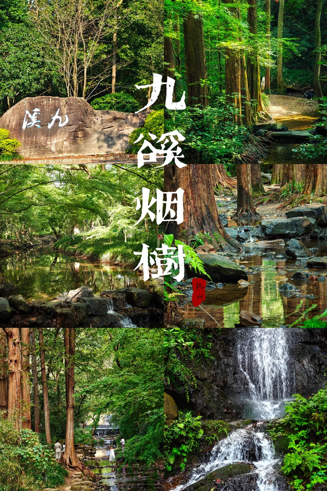 被问爆了！五一反向小众的“杭甬双城记”，不挤人海只享惬意！