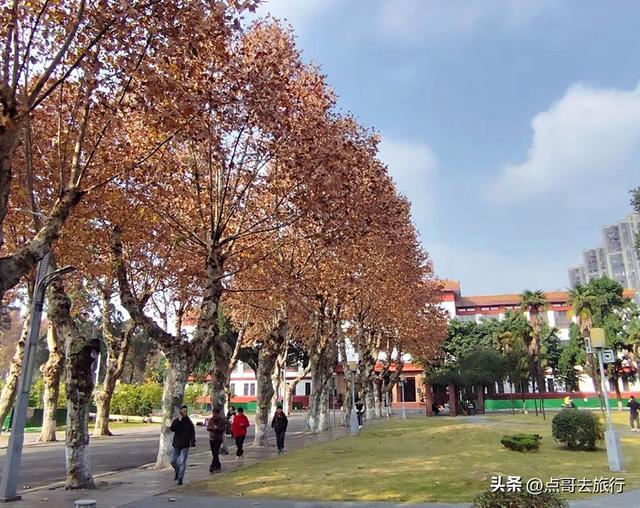 跟着法国总统游成都，24小时内去了哪些景点？成都真的太美了！