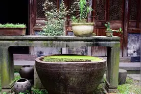 如果有一天，你发现父母很偏心，做到这“三点”就赢了图片