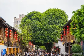 福州旅游攻略：推荐我心中排名前12的景点，附打卡点！图片