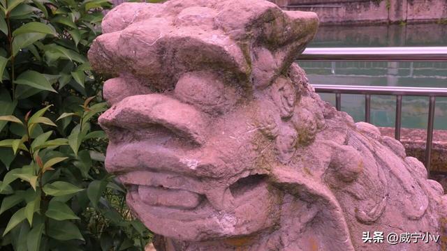 威宁葡萄井的历史由来与兴衰