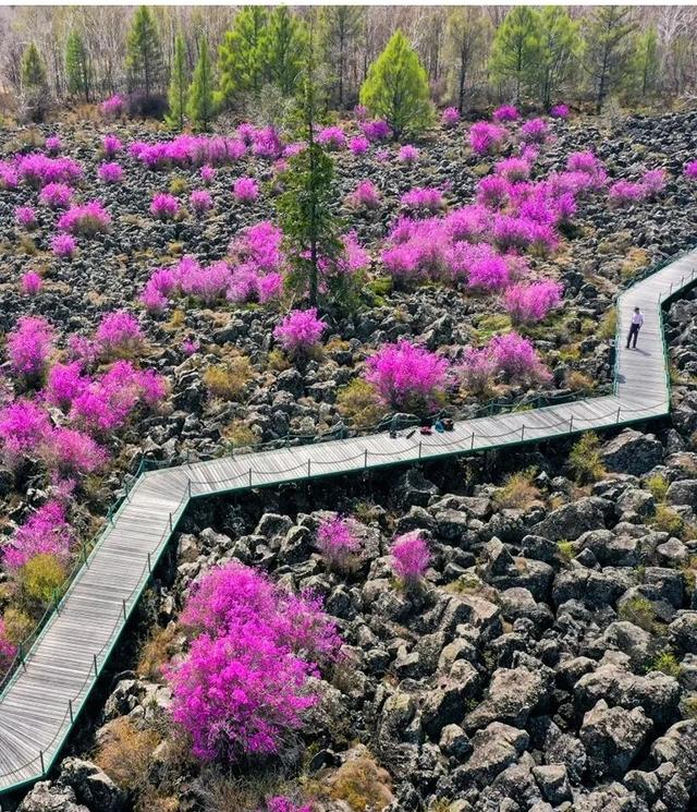 还没结束的花事，槽点太多了！