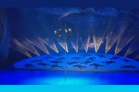 第十九届中国吴桥国际杂技艺术节B场比赛：中外杂技演员纷纷亮出“绝活” 角逐金狮奖图片