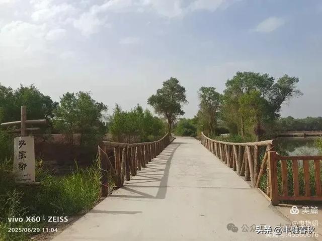 探秘新疆巴楚红海景区：自然与人文的交响｜ 申艳娟