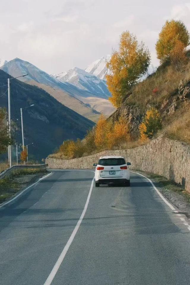 格鲁吉亚，除了代孕还有啥？