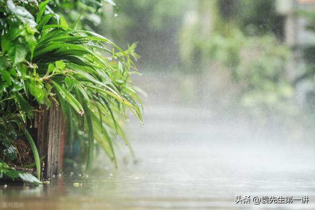 今日入伏，老人说最怕“入伏一日雨”，入伏天下雨有啥预兆？