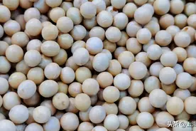 养肌肉就是养寿命！多吃这种食物，增肌、调血脂！图片