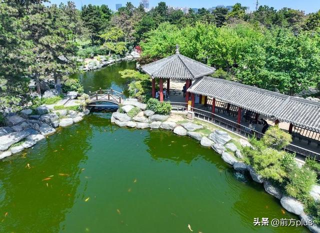 中国唐苑：盛夏里的一抹烂漫绿意