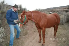 美国：真实的牛仔生活图片