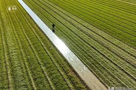 春来农事忙图片