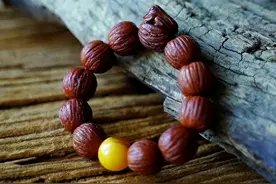 盘手串何必花钱买？这5种天然果实手串，美到惊艳，你应该都认识图片