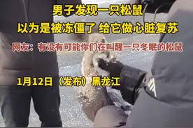 笑晕， 武汉人在哈尔滨给冬眠松鼠做心肺复苏，笑死在网友的评论区图片