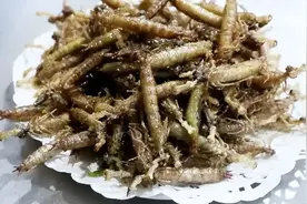 每年吃三千只蚊子的蜻蜓，为啥越来越难见了，原来被人类端上了桌图片