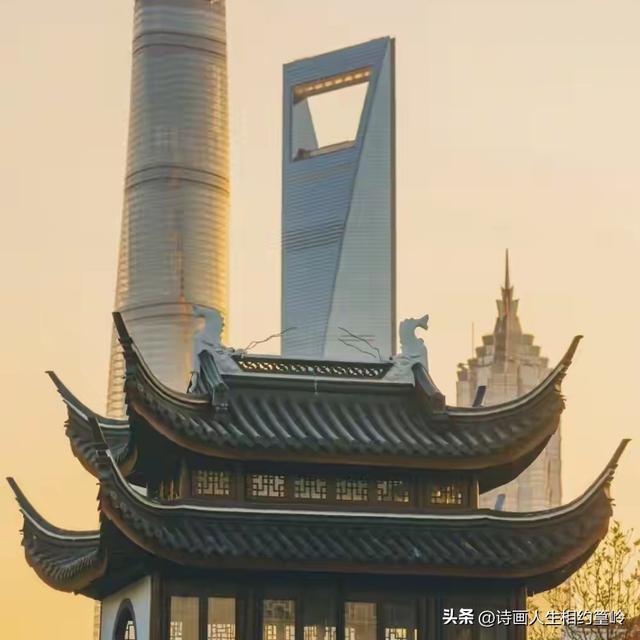 我打小就有一个“沪漂”梦