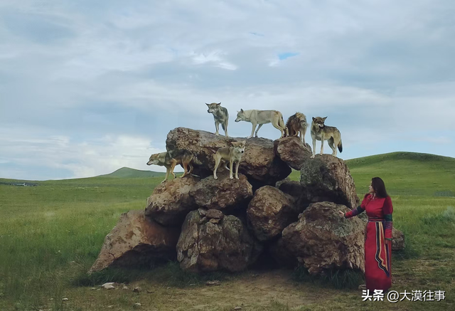 【原创】说走就走，草原行（四）
