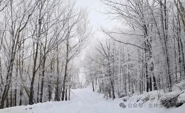 告别金秋，邂逅龙湾初冬！赏雪、观雾凇攻略，这两处景区别错过~
