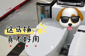 用了2年“智能马桶”，坚持换回普通马桶，只因这几点我受不了图片