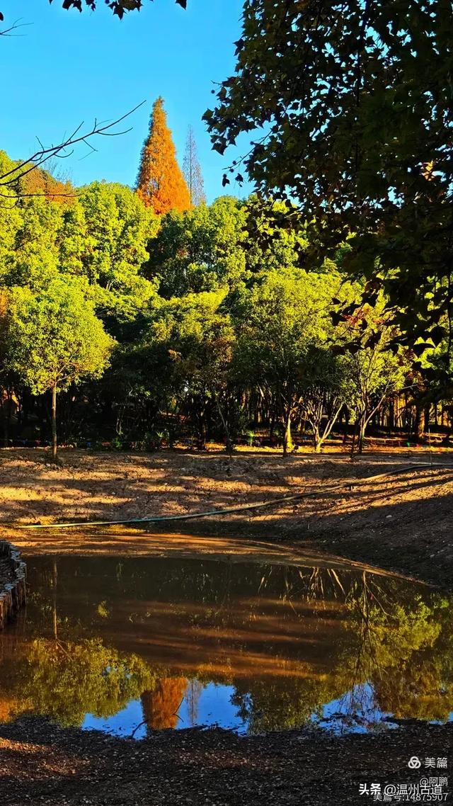 秋染浙西,邂逅烂柯仙境的绝美风光!