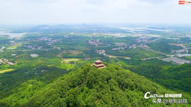 清明假期就来武汉蔡甸永安,3条线路带你体验“山系生活”!