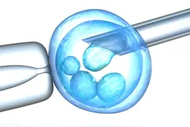 试管移植后的三大关，不能掉以轻心图片