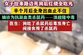 突发！杭州女子捡死狗吃，中毒入院，医生紧急施救，网友：胆真大图片