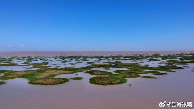 崇明国际湿地城市邀你打卡！