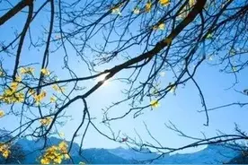 一个人对你屏蔽了朋友圈，但又没有删除你，多半是这3种情况图片