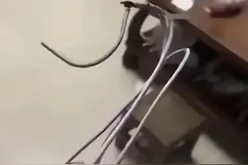 "要把我们逼死吗！" , 微信群那个发疯的广东妈妈 , 让无数家长共情了图片