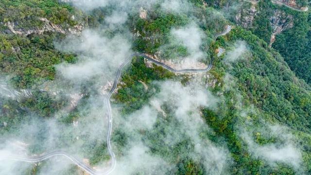 走，去河南山野里“撒个欢”！