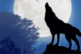 狗为什么会朝着没人的地方狂吠？是看到了不干净的东西吗？图片