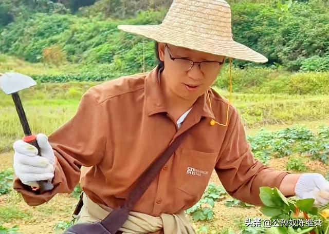 心乡谷国际营地，客流红火人欢喜：心花怒放自然疗愈，体验寻觅！