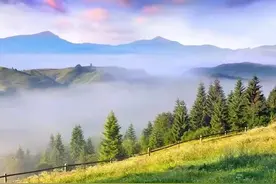 公平交易权：为何机构可以做空赚钱，可以变相T＋0，而散户不可以图片